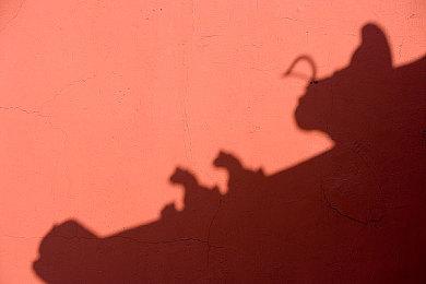 《PUI PUI 天竺鼠车车一起来！》推出免费升级